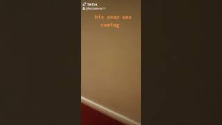 My poop is coming meme
