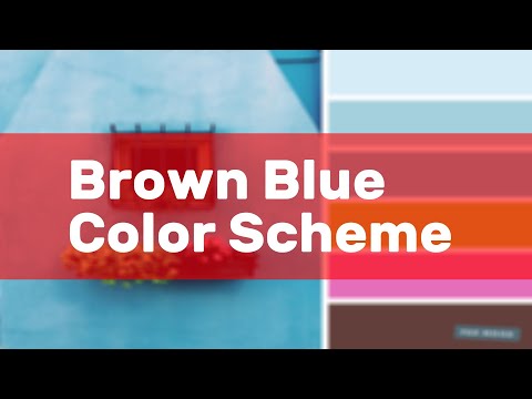 Video: Brown Color In The Interior (72 Photos): A Combination Of Coffee, Chocolate And Other Tones With Blue, Light Blue And Other Colors