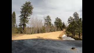 North Divide Forest Road Conditions 3 13 2026 #1