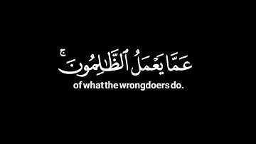 "ولا تحسبن الله غافلا عما يعمل الظالمون🌿كروم شاشة سوادء بدون حقوق🌿القارئ عبيدة موفق الكردي 🌿