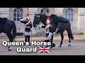 Queen&#39;s Horse Guards | London, England 2022