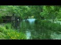 Nature Sounds River Sounds〜Calming