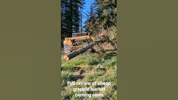 Moving trees with Skid Steer Grapple Bucket