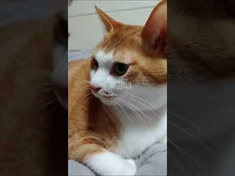 파파 퇴근 <strong>안뚱땡이</strong> 마중 루틴