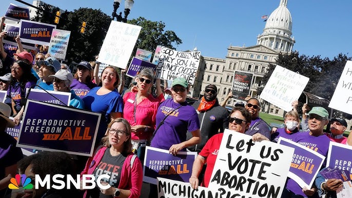 Abortion Rights Movement In Michigan Remains Stalwart For Democrats In 2024 Mcmorrow