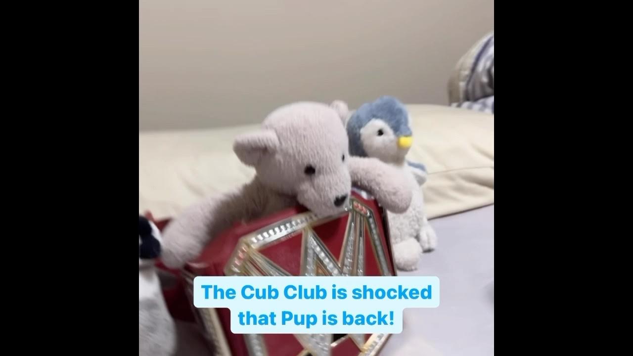 WWE Toys Match Cub (c) vs Pup (Universal Title Match) SD Jan 5th 2025