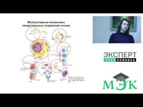 Лекарственные поражения печени (лекция для врачей)