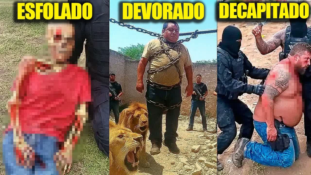 Como Cada Chefe de Cartel Morreu