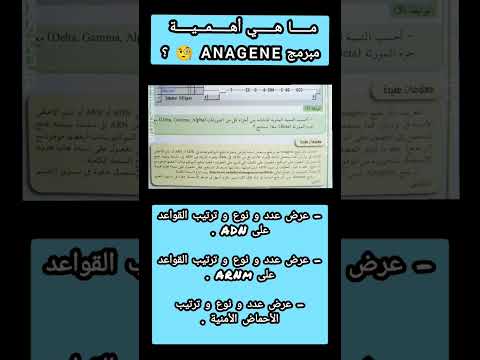 ماهو مبرمج اناجين