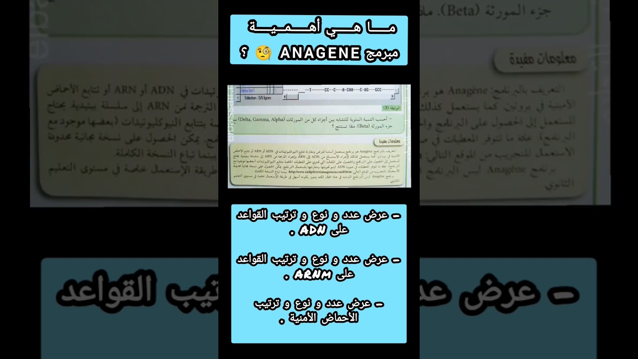 ماهو مبرمج اناجين ؟