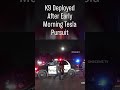 K9 Deployed After Early Morning Tesla Pursuit