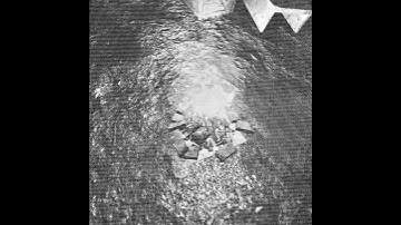 S.T.A.L.K.E.R. N.E.W. C.O.R.D.O.N.