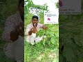 দশটা স্টার পেয়েছি #youtubereels  #everyone  #Trendingvideo #Viralreels #Viralpost #foryou