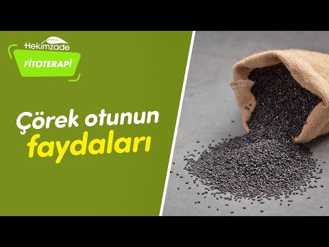 Çörek Otunun Faydaları