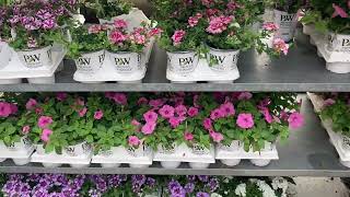 Home Depot New Arrivals 🥰😍🪴🌸🌺