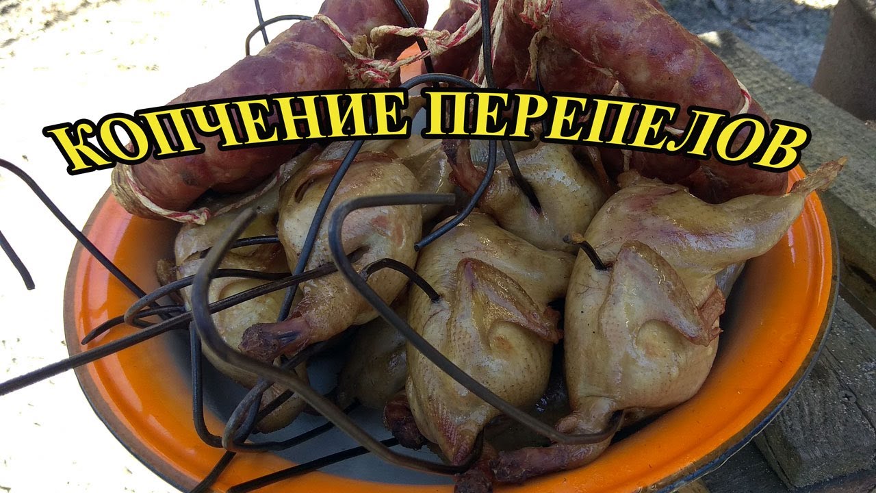 Как закоптить перепелов
