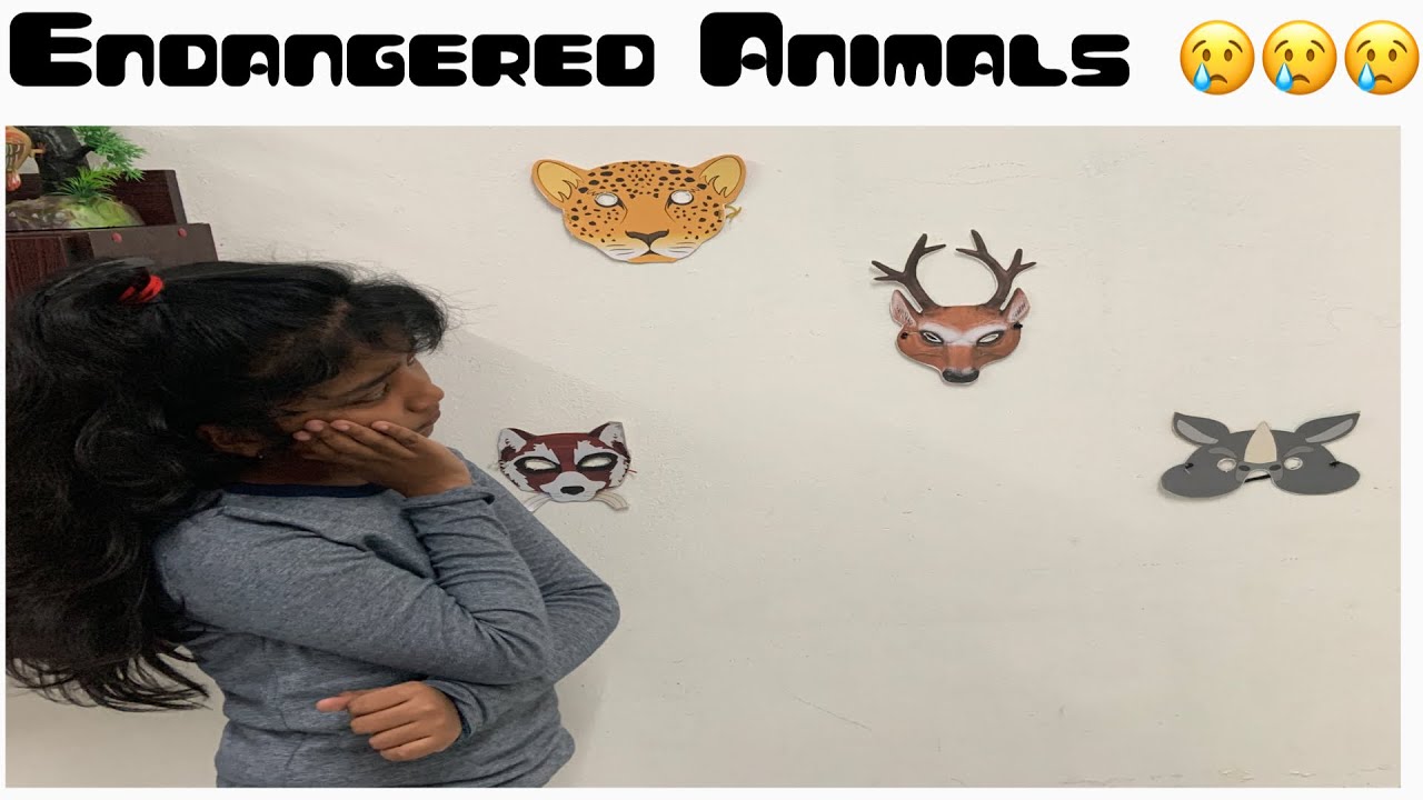 #EndangeredAnimals#Endangered A dance about endangered animals/save all the animals/save the nature