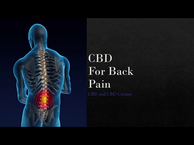 CBD Cream For Back Pain? Can CBD Help You With Your Back Pain?