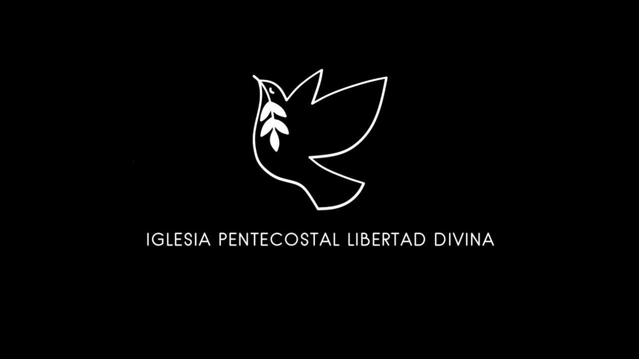 02.25.2026 IPLD SERVICIO