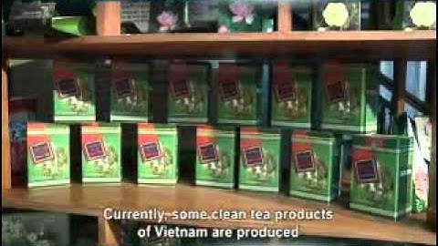 Ecolink - Thương mại công bằng