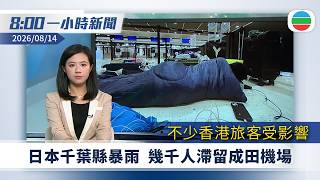 無綫8:00一小時新聞：日本千葉縣暴雨幾千人滯留成田機場｜美國對進口無人機及零部件徵最高百分百關稅｜風暴白海豚影響　河南省連日暴雨　兩處堤壩決堤｜無綫新聞｜TVB News｜2026/08/14