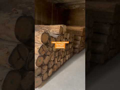 Indian teak premium