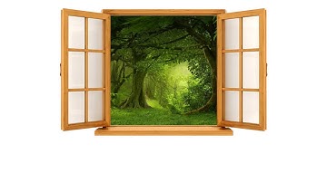 Window Open and Close | Sound Effect