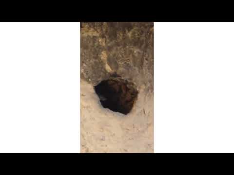 الهمزية من مسجد الشيخ سيدي محمد بن الكبير أدرار الجزائر