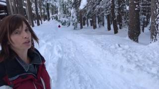 Maddo long sled run