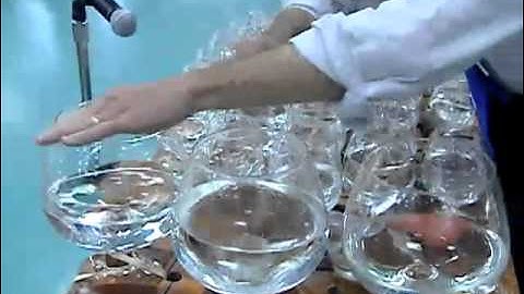 Glass Harp Musicians at Daniels Run ES