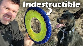 Best Dog Frisbee | Nerf Flyer is Strong and Flies Far!