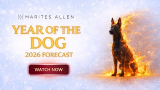 Year Of The Dog 2026. Watch Your Forecast Now