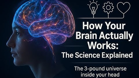 How the Brain Works: A Journey Through Brain Science