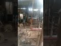 ዛሬ ጂሙን ሙሉ በሙሉ ለራሴ አድርጌዋለሁ #ethiopia #viralvideos