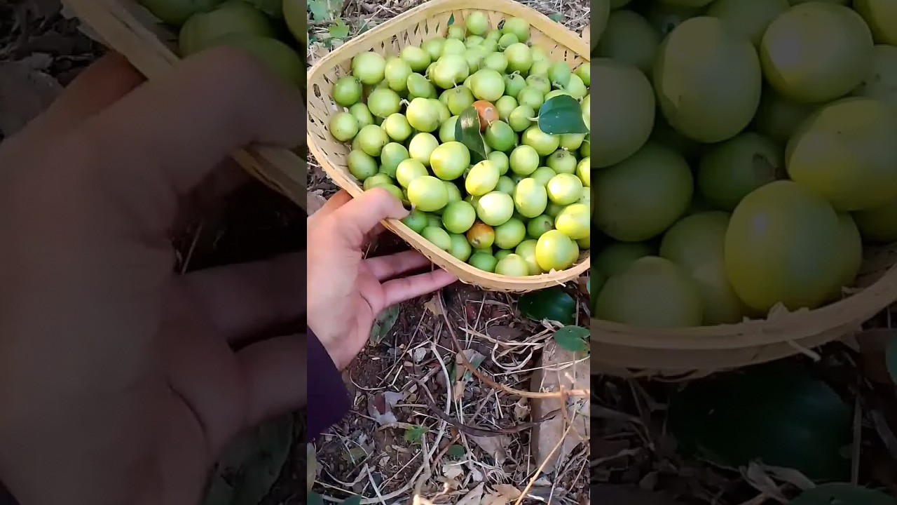 #Deshi khano#boir#trending #viral #shortvideo#shorts