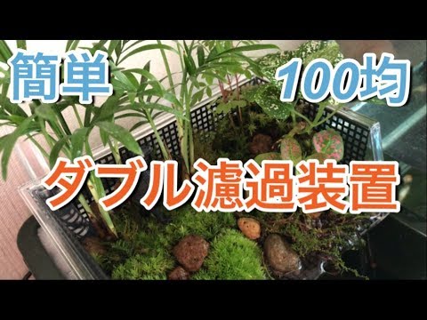 簡単 ビオトープ ダブル濾過装置を100均で作ろう Youtube