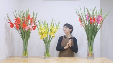 #7 Hướng dẫn cắm hoa lay ơn