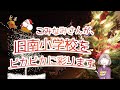 第36回 てくばり仲間のしまおもい フラワーアレンジメントお花で幸せチャンネル「旧南小学校をこみなみさんがイルミネーションで彩ります。梅の木が描かれた大きな白い花瓶に健気な百日草(ジニア)をアレンジ」