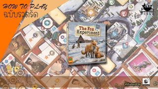 3min The Fox Experiment ฉบับรวบรัด