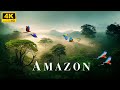 The Bird of Amazon 4K - The Magical Healing Power of Birds With Relaxing Music