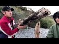 真冬の無人島生活 チャンネルがーどまん 真冬の無人島生活 チャンネルがーどまん
