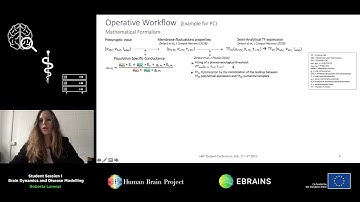 Lorenzi Roberta - Highway to a biologically-grounded neural mass model of the Cerebellum