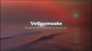 Vellipomaake Song Lyrical Edit | Lyrical Nature 🖤🍃