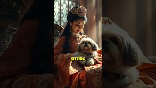 The Majestic History of Shih Tzus: Why They Are Called 'Lion Dogs'