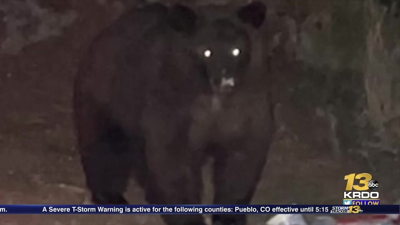 Green Mountain Falls one of 11 Colorado communities receiving state funds to reduce ...