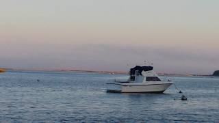 Pirates Cove , Mashpee, Ma. = Cape Cod
