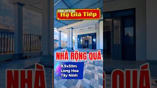 Bán nhà siêu rẻ | Chủ ngợp lô tới chỉ | Nhà Đẹp Tây Ninh