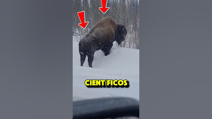 Los CIENTÍFICOS DESCUBRIERON esto  #sabiasque #curiosidades