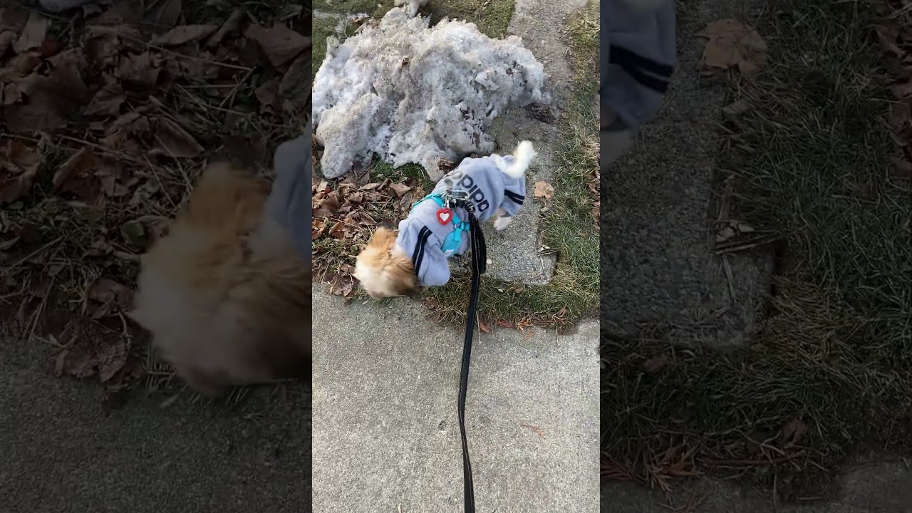 (‿)rly (⁀ɤ⁀)oreͶiN (‿ˠ‿)oʞing & ⇧ƊayͲing (‿ˠ‿)it Ɗ'ɀ(‿ˠ‿) ☘🗝️ ✠