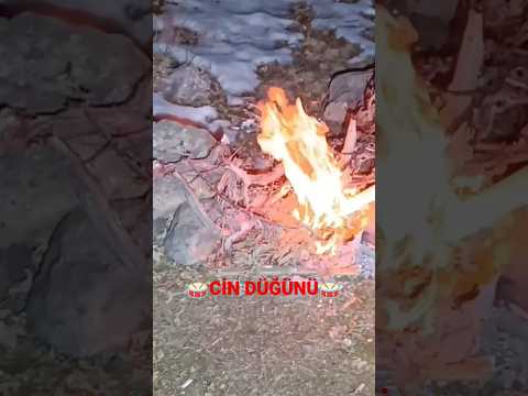 cin düğünü davul